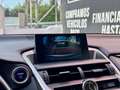 Lexus NX 300 300h Executive 4WD + Navibox Gris - thumbnail 16