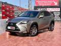 Lexus NX 300 300h Executive 4WD + Navibox Gris - thumbnail 1