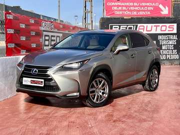 300h Executive 4WD + Navibox