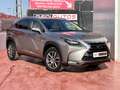 Lexus NX 300 300h Executive 4WD + Navibox Gris - thumbnail 7