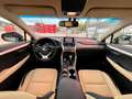 Lexus NX 300 300h Executive 4WD + Navibox Gris - thumbnail 11