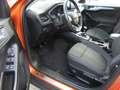 Ford Focus Active, LED-Scheinwerfer, Kamera, Adaptive GRA, Orange - thumbnail 8