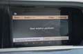 Mercedes-Benz S 250 CDI BlueEFFICIENCY Grau - thumbnail 24