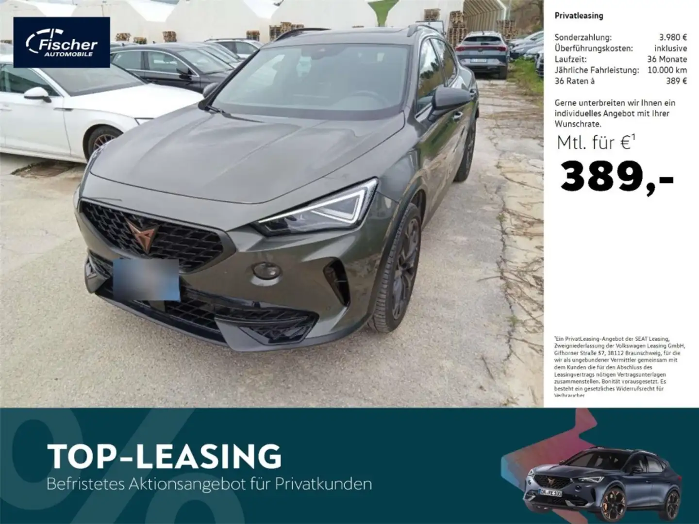 CUPRA Formentor 2.0 TSI DSG Tribe Edition P-DACH/NAV Grau - 1