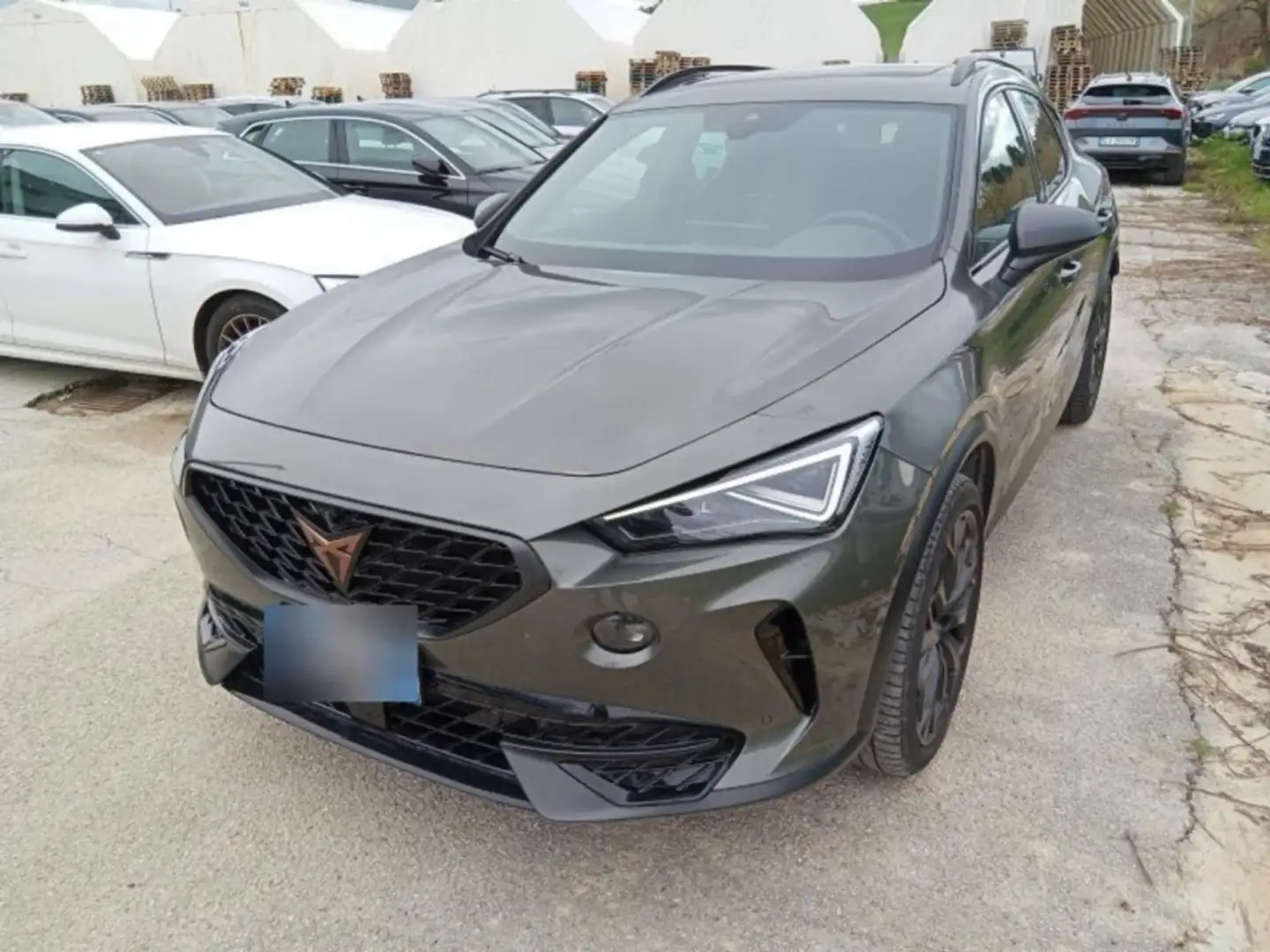 CUPRA Formentor 2.0 TSI DSG Tribe Edition P-DACH/NAV Grau - 2