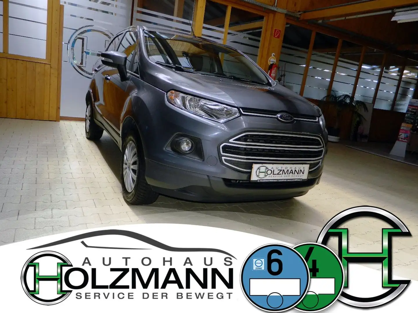 Ford EcoSport 1.0l EcoBoost Trend/Winter Paket/Euro6 Gris - 2