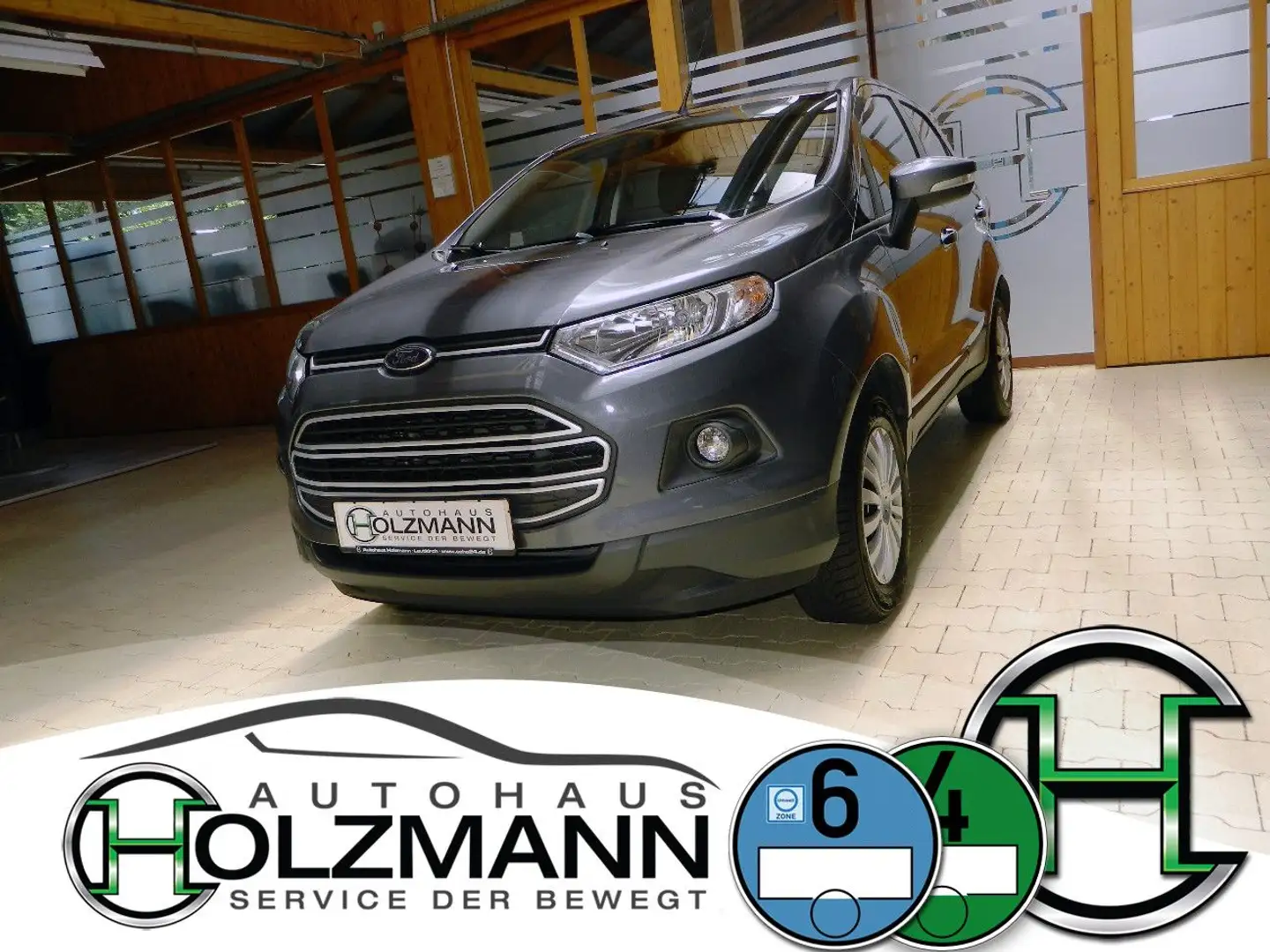 Ford EcoSport 1.0l EcoBoost Trend/Winter Paket/Euro6 Gris - 1