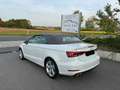 Audi A3 A3 1.8 TFSI Cabrio S tronic/leder/camera/gps/… Blanc - thumbnail 7