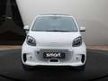 smart forTwo EQ 60kWed prime SHZ PDC+Kamera JBL Ambiente Weiß - thumbnail 3