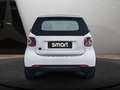 smart forTwo EQ 60kWed prime SHZ PDC+Kamera JBL Ambiente Weiß - thumbnail 9