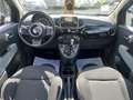 Fiat 500 Automatik STÄNDIG ÜBER 60 FIAT500 IM BESTAND Schwarz - thumbnail 12
