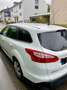 Ford Focus Turnier 1.0 EcoBoost Start-Stopp-System Ambiente Bianco - thumbnail 10