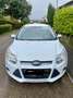 Ford Focus Turnier 1.0 EcoBoost Start-Stopp-System Ambiente Weiß - thumbnail 1