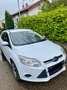 Ford Focus Turnier 1.0 EcoBoost Start-Stopp-System Ambiente Bianco - thumbnail 3