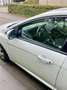 Ford Focus Turnier 1.0 EcoBoost Start-Stopp-System Ambiente Bianco - thumbnail 12