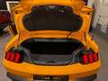 Ford Mustang Mustang Cabrio - 5.0 V8 446 pk - Manueel Jaune - thumbnail 7