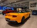 Ford Mustang Mustang Cabrio - 5.0 V8 446 pk - Manueel Jaune - thumbnail 8