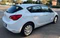 Opel Astra 5p 1.4 Cosmo 100cv E6 - thumbnail 5
