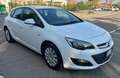 Opel Astra 5p 1.4 Cosmo 100cv E6 - thumbnail 3
