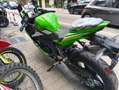 Kawasaki Ninja ZX-4RR My25 Зелёный - thumbnail 5