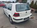 Volkswagen Golf Golf IV 1.4 Edition tuv neu - thumbnail 10