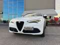 Alfa Romeo Stelvio 2.2 TURBODIESEL 210 CV AT8 Q4 VELOCE *UNIPROP* Weiß - thumbnail 24