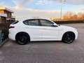 Alfa Romeo Stelvio 2.2 TURBODIESEL 210 CV AT8 Q4 VELOCE *UNIPROP* Weiß - thumbnail 16