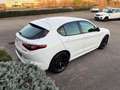 Alfa Romeo Stelvio 2.2 TURBODIESEL 210 CV AT8 Q4 VELOCE *UNIPROP* Weiß - thumbnail 4