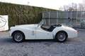 Triumph TR3 1959-Très bel état Weiß - thumbnail 7