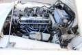 Triumph TR3 1959-Très bel état Weiß - thumbnail 44