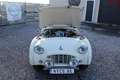 Triumph TR3 1959-Très bel état Weiß - thumbnail 35