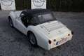 Triumph TR3 1959-Très bel état Weiß - thumbnail 10