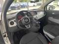 Fiat 500 Mirror 1.2 Cabrio KLIMA PDC TOUCH LM USB GRA Weiß - thumbnail 9