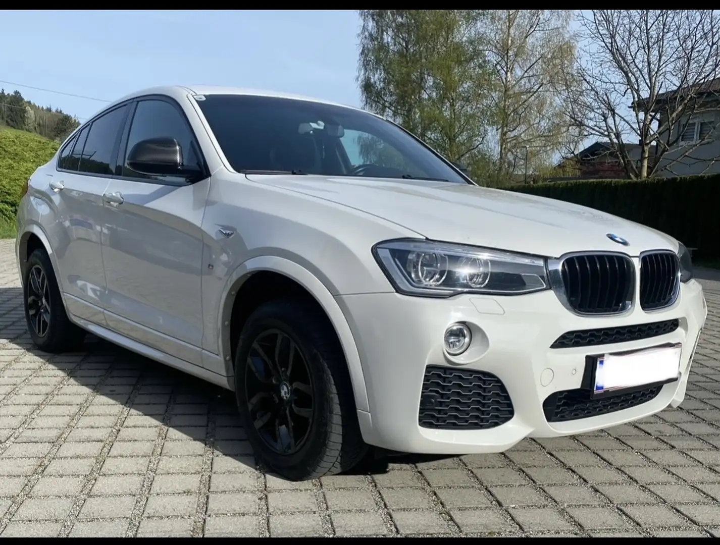 BMW X4 xDrive 20d Österreich-Paket Aut. - 1