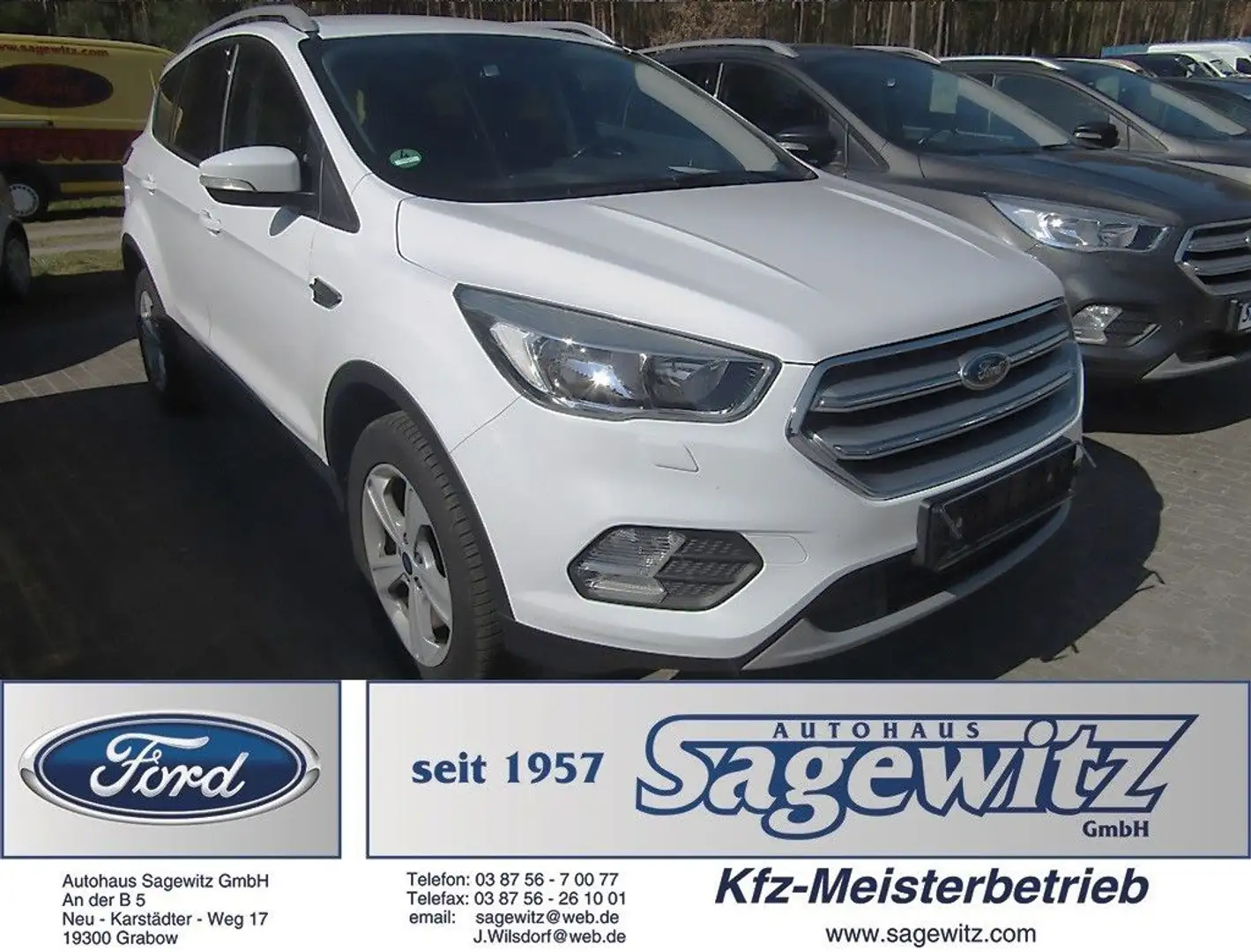 Ford Kuga 1.5 EcoBoost Trend 4x2 SHZ AHK Weiß - 1