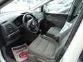 SEAT Alhambra Business 2,0 TDI CR Weiß - thumbnail 6