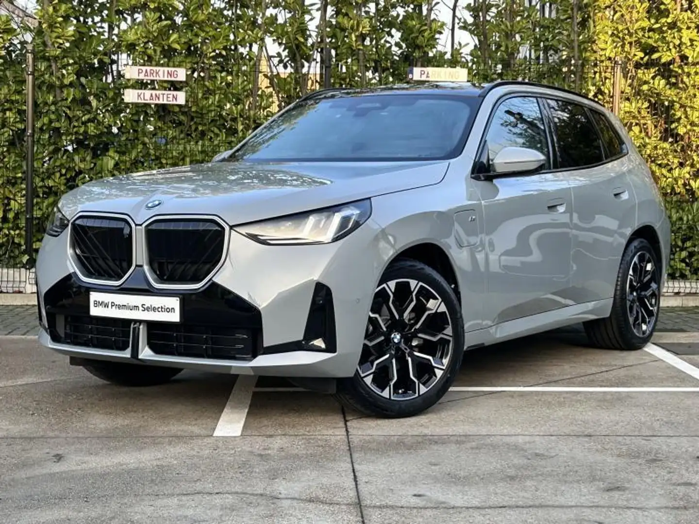 BMW X3 xD30e Grigio - 1
