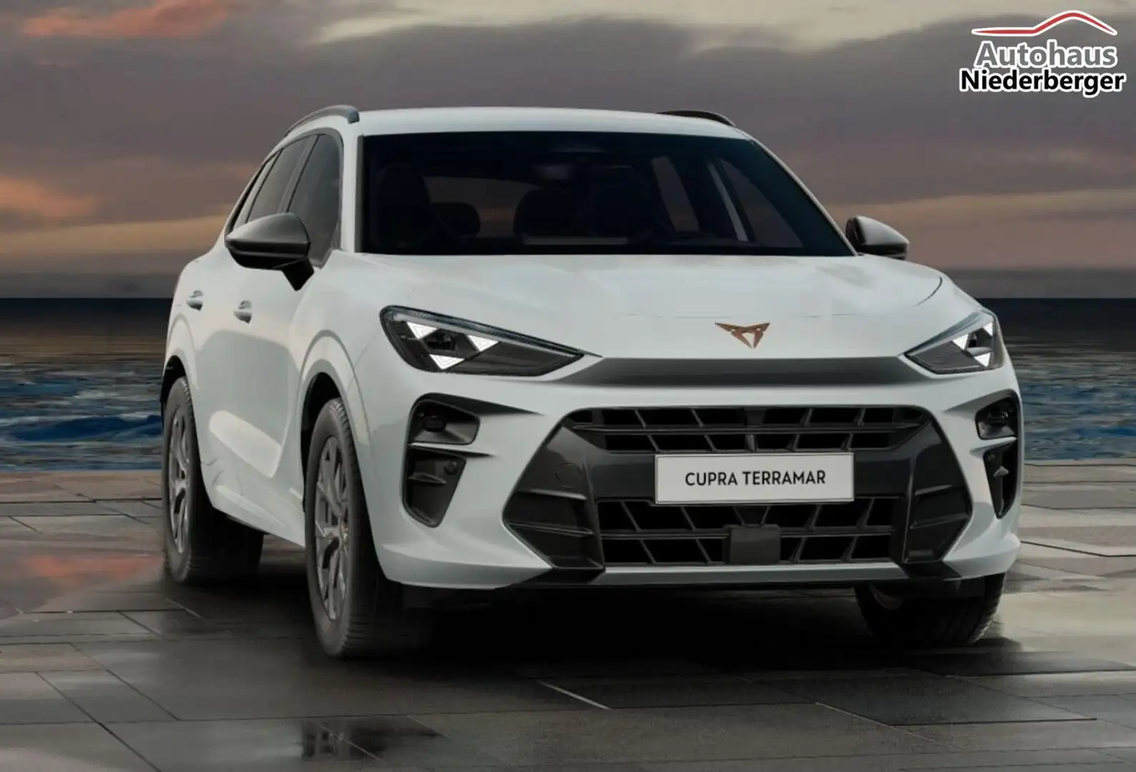 CUPRA Terramar DSG IntelliD Dinamica Edge 360° eHk ACC 110 kW ... Weiß - 2