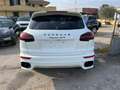 Porsche Cayenne 3.0D RESTYLING ALLESTIMENTO GTS TETTO PANORAMICO Bianco - thumbnail 5