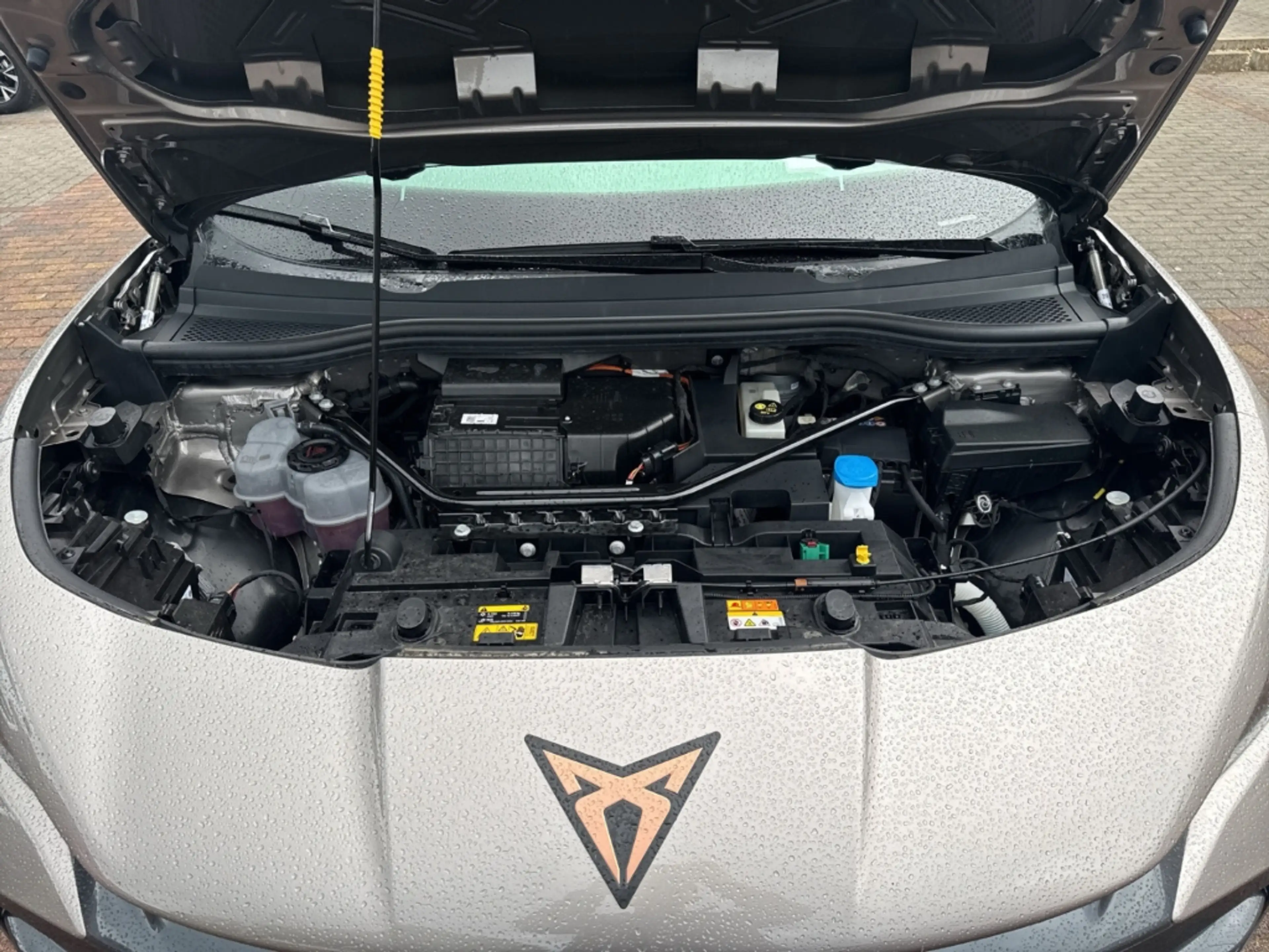 CUPRA Tavascan Endurance 3,49% Navi Digitales Cockpit LED ACC El. — photo 19