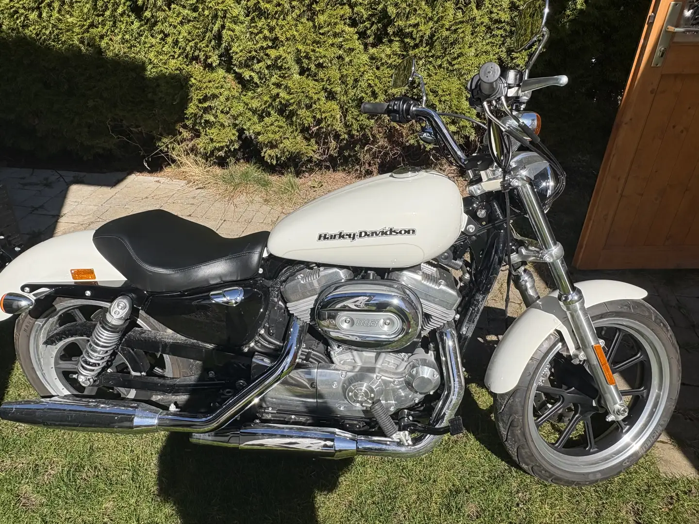 Harley-Davidson Sportster 883 superlow White - 1