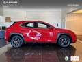 Lexus UX 250h Business 2WD Rood - thumbnail 3