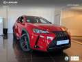 Lexus UX 250h Business 2WD Rood - thumbnail 12