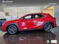 Lexus UX 250h Business 2WD Rood - thumbnail 13