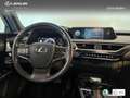 Lexus UX 250h Business 2WD Rood - thumbnail 11