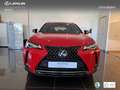 Lexus UX 250h Business 2WD Rood - thumbnail 4