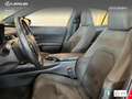 Lexus UX 250h Business 2WD Rood - thumbnail 15