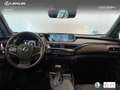 Lexus UX 250h Business 2WD Rood - thumbnail 8