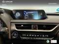 Lexus UX 250h Business 2WD Rood - thumbnail 19