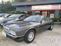 Jaguar XJ Daimler 3.6 IMPIANTO GPL km124000 Grigio - thumbnail 1